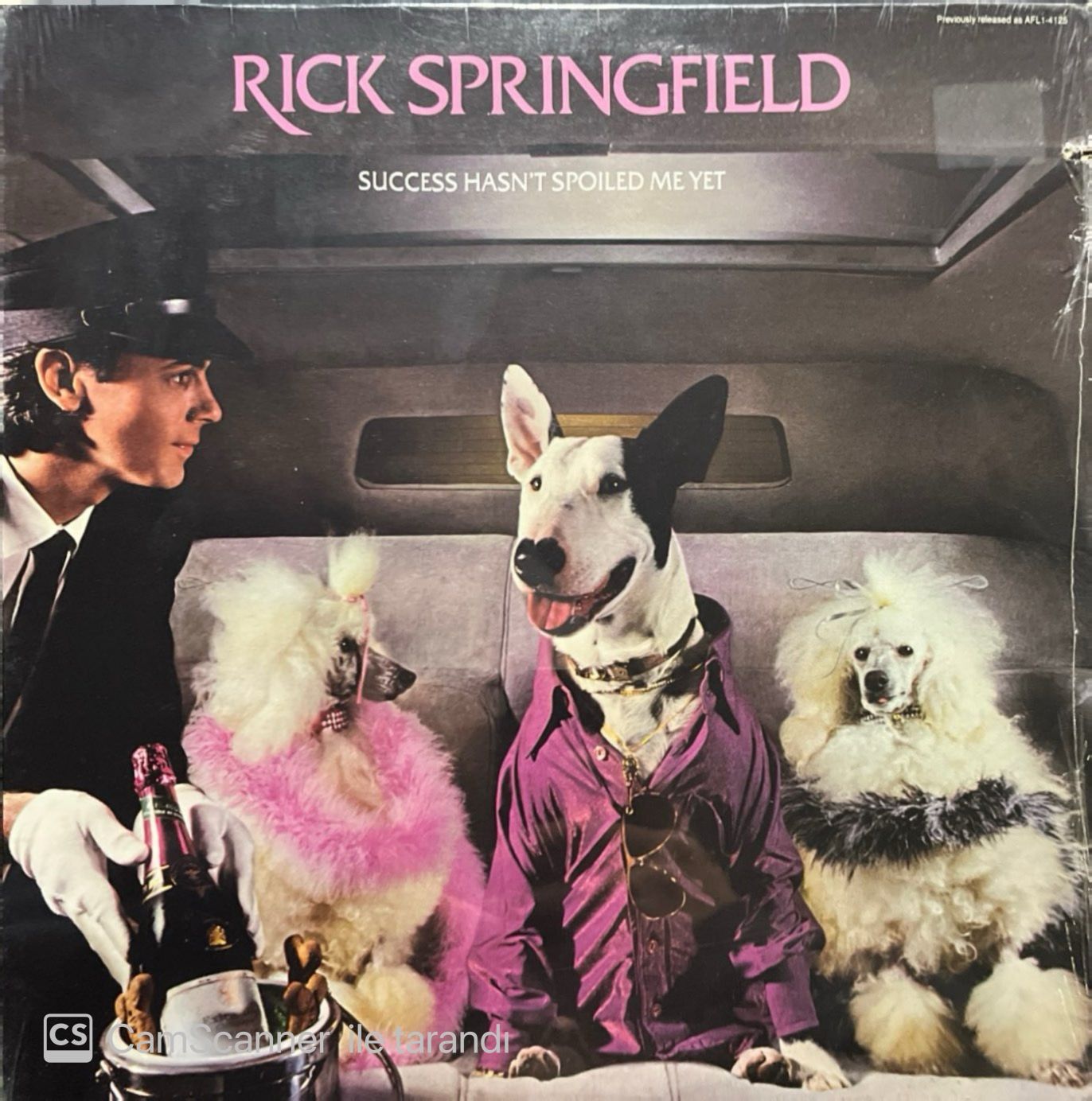 Rick Springfield Success Hasn't Spoiled Me Yet (Açılmamış Ambalajında Dönem Baskı) LP Plak