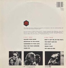 Marilyn Despite Straitht Lines LP Plak