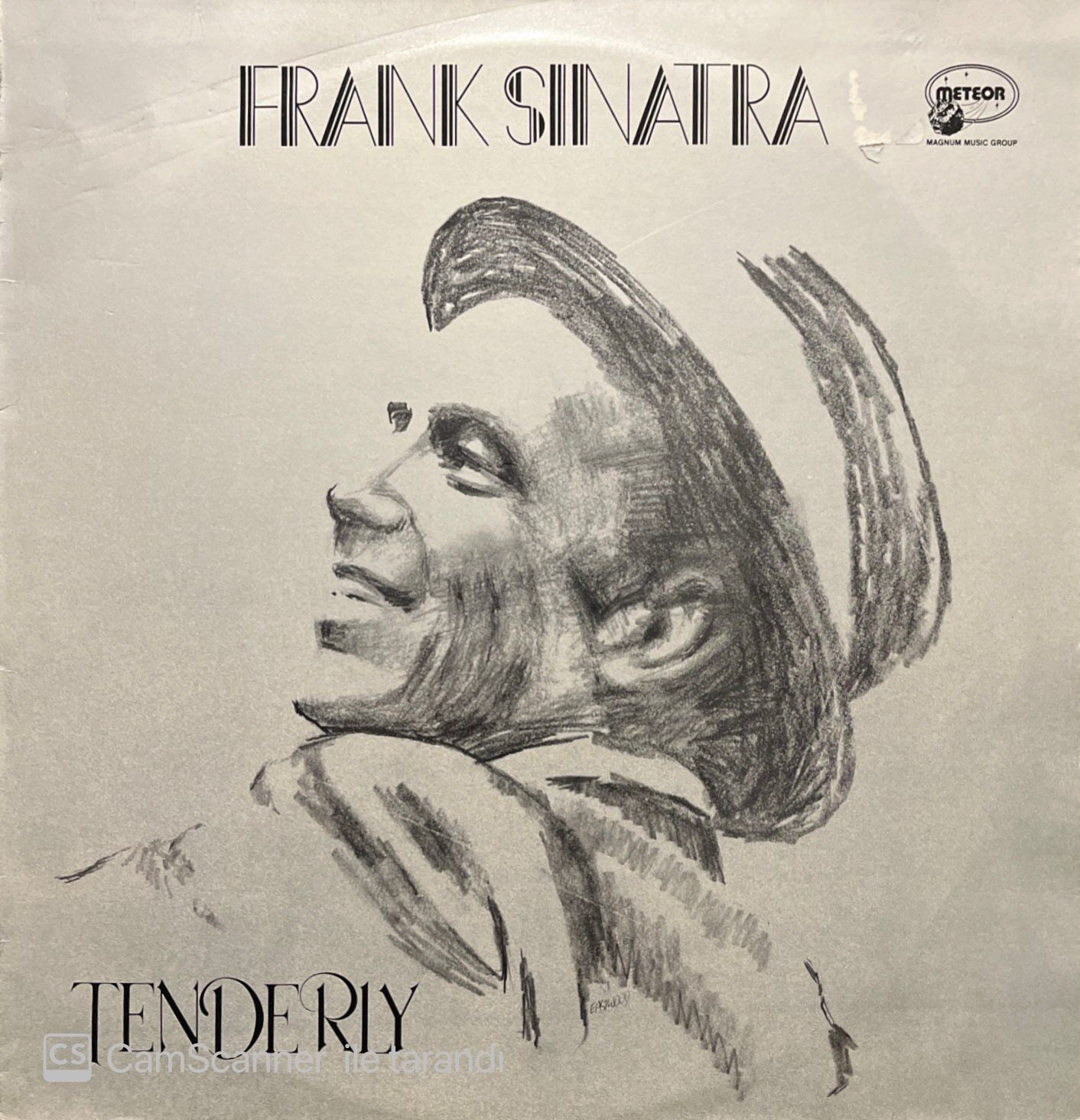 Frank Sinatra Tenderly LP Plak