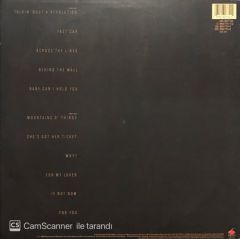 Tracy Chapman Tracy Chapman LP Plak