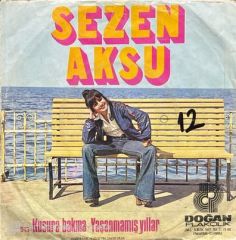 Sezen Aksu Kusura Bakma 45lik plak