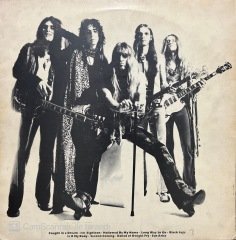 Alice Cooper Love It To Death LP Plak