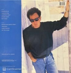 Billy Joel The Bridge LP Plak