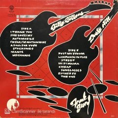 ZZ Top Degüello LP Plak