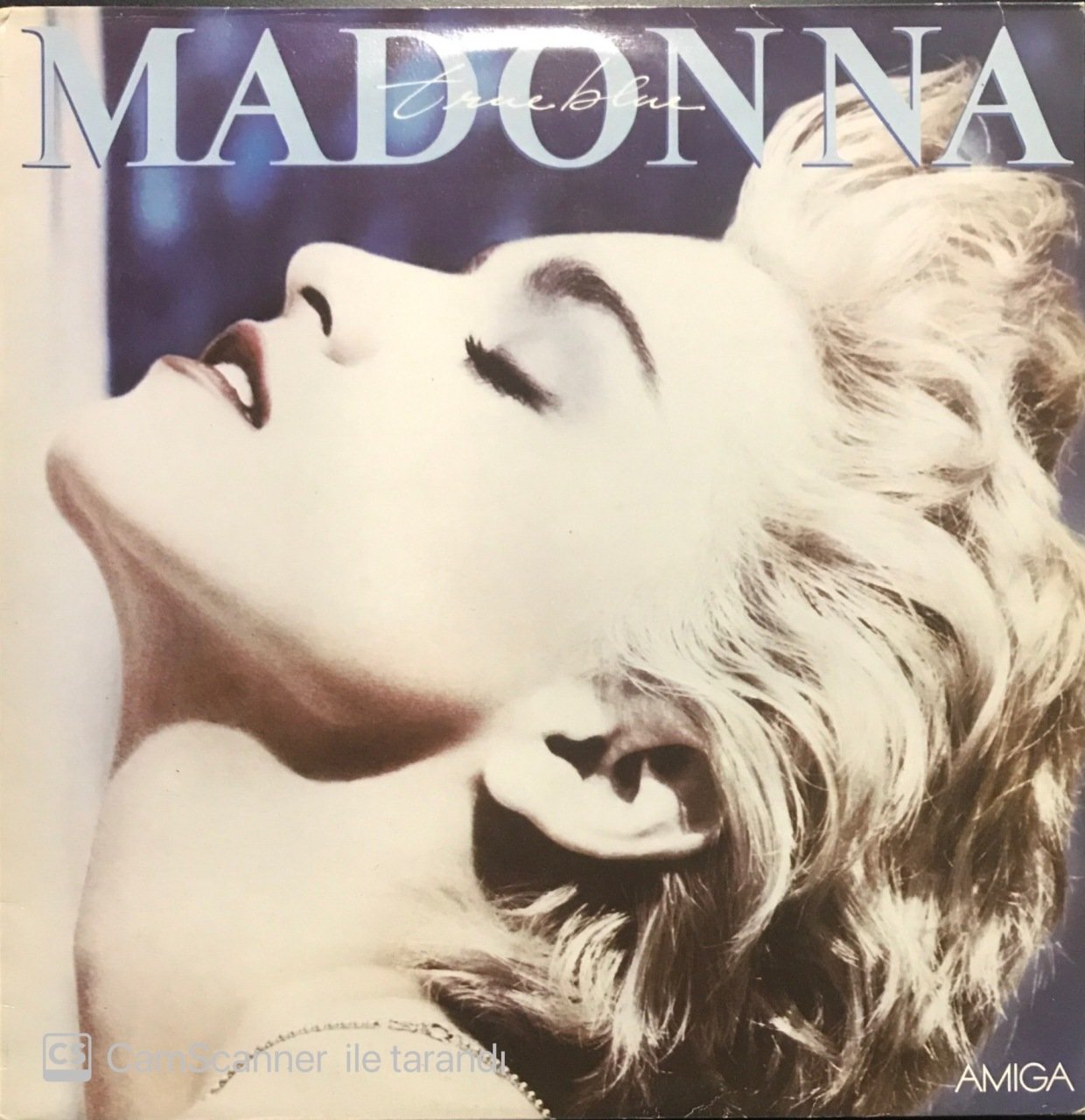 Madonna You True Blue LP Plak