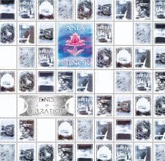 Asia Minor Points Of Libration LP Plak