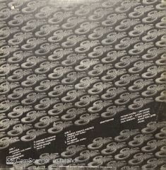 This Is Steamhammer LP Plak