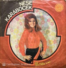 Neşe Karaböcek Aşkına Doyum Olmaz 45lik Plak
