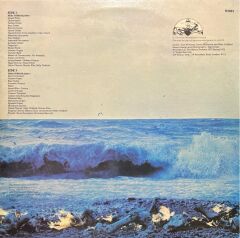 Mike Oldfield Tubular Bells LP Plak