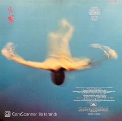 Vangelis China LP Plak