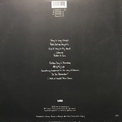 Phil Collins But Seriously LP Plak