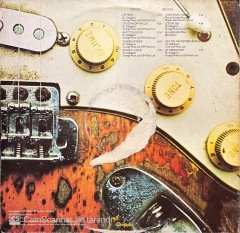 Rory Gallagher Against The Grain LP Plak