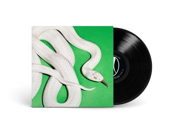 Deftones Private Music LP Plak