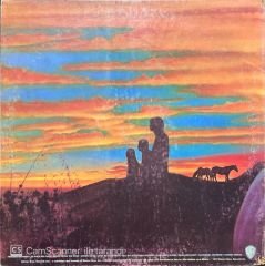 America Homecoming LP Plak