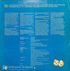 Manfred Mann's Earth Band LP Plak