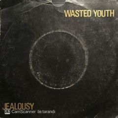 Wasted Youth Jealousy Şeffaf Renkli Plak 45lik Plak