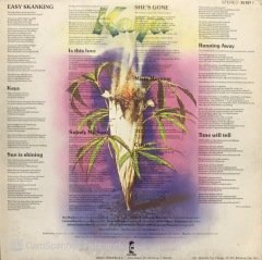 Bob Marley The Wailers LP Plak