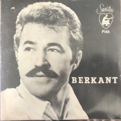 Berkant Çok Yalnızım 45lik Plak