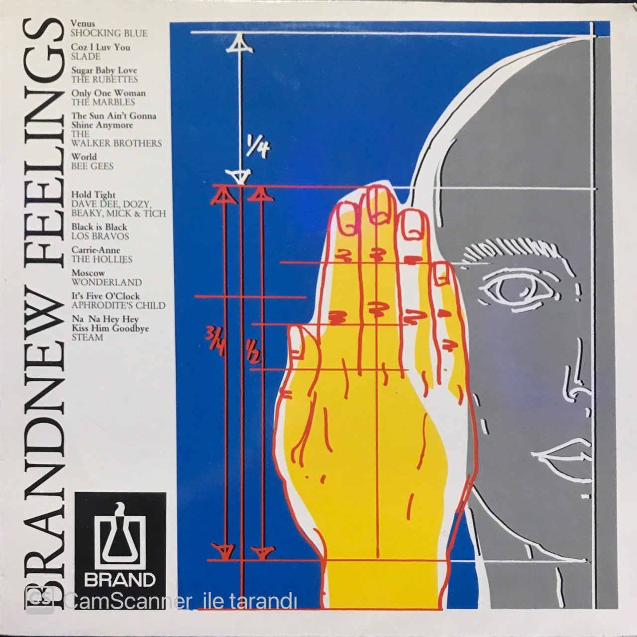 Brandnew Feelings LP Plak