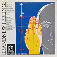 Brandnew Feelings LP Plak