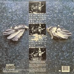 Janitor Joe Big Metal Birds LP Plak