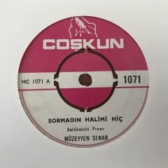 Müzeyyen Senar Sormadın Halimi Hiç 45lik plak