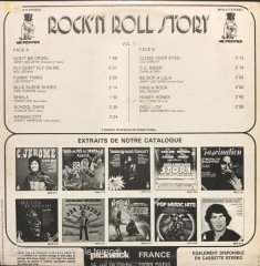 Rock'n Roll Story LP Plak