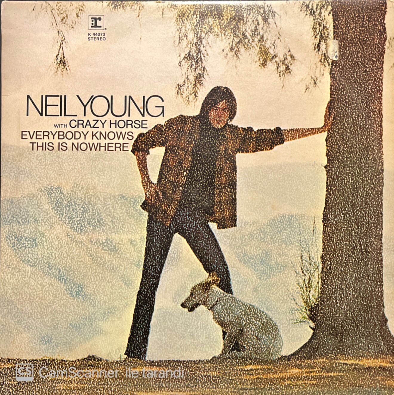 Neil young Hawks & Doves LP Plak