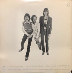 The Doors Other Voices LP Plak