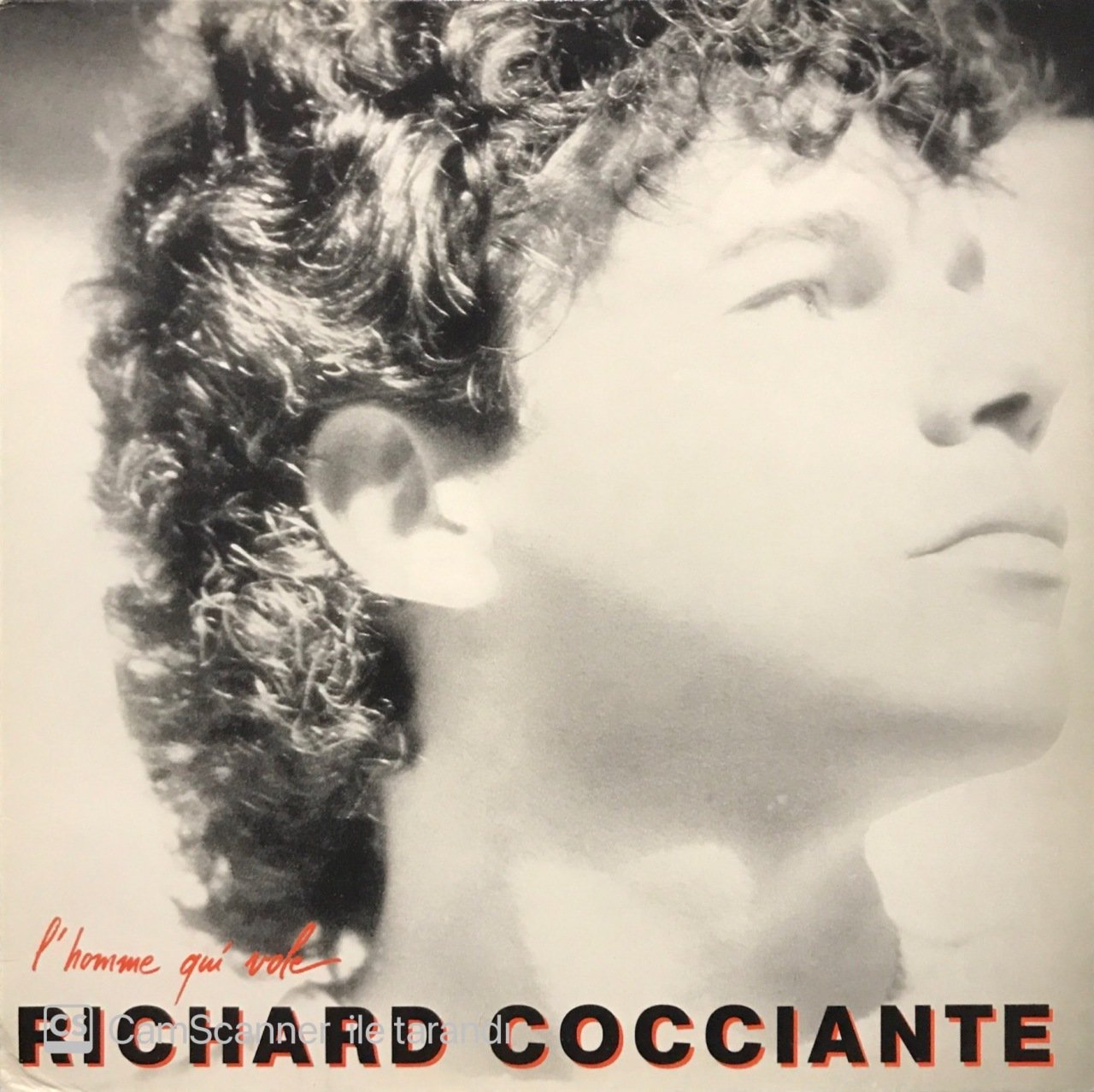 Richard Cocciante L'homme Qui Vole LP Plak