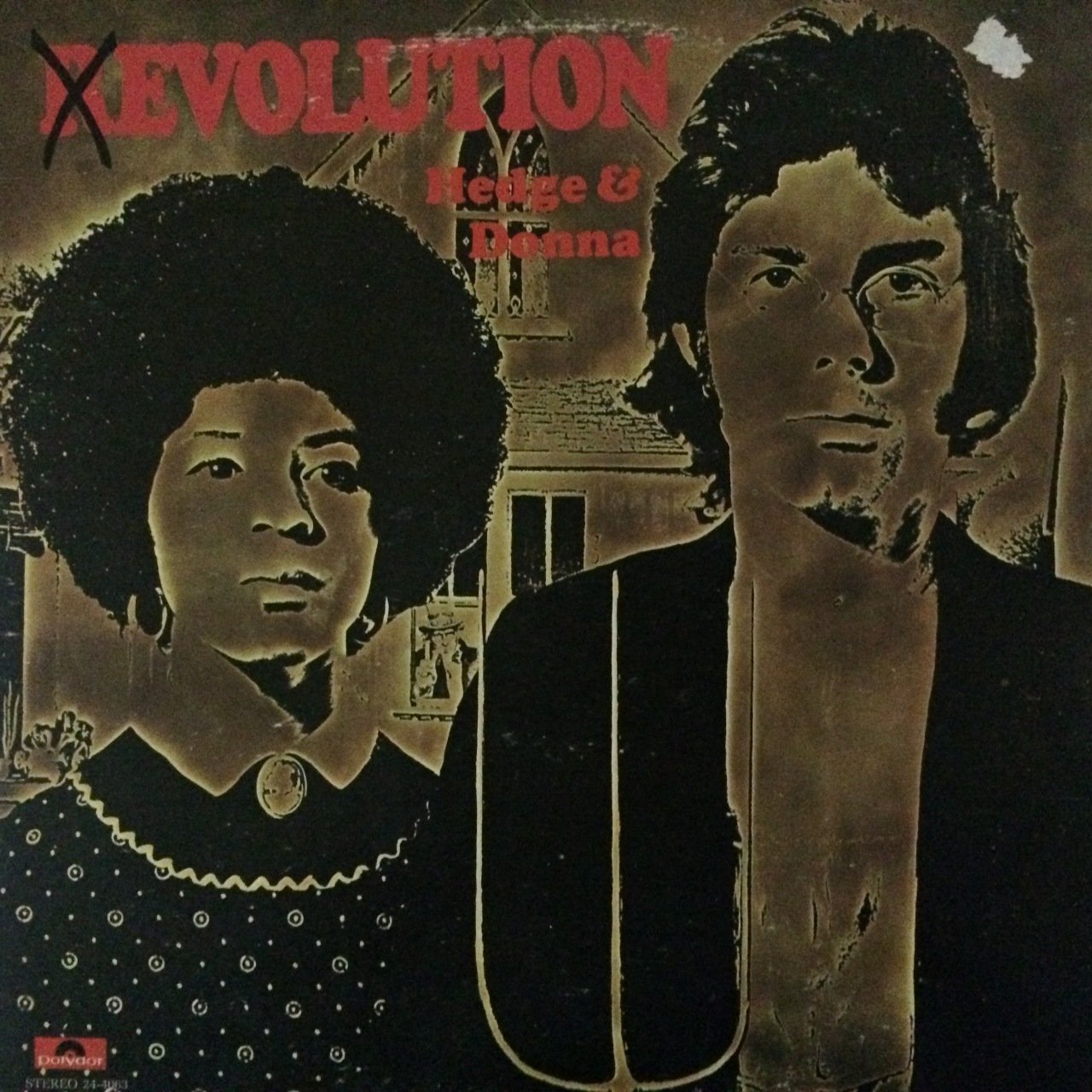 Hedge & Donna Evolution LP Plak