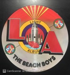 The Beach Boys Light Picture Disk LP Plak
