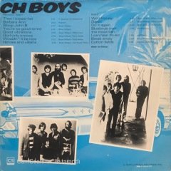 The Beach Boys All Time Greatest Hits Çift LP Plak