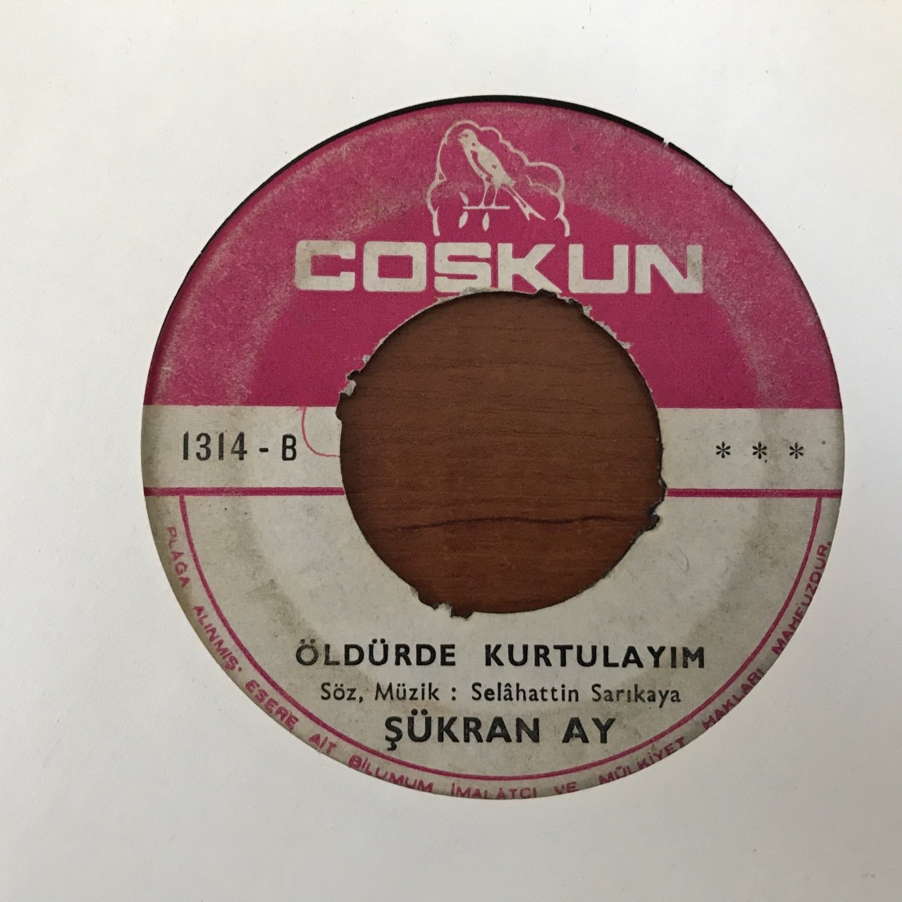 Şükran Ay Öldürde Kurtulayım 45lik Plak