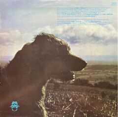 Mike Oldfield Hergest Ridge LP Plak