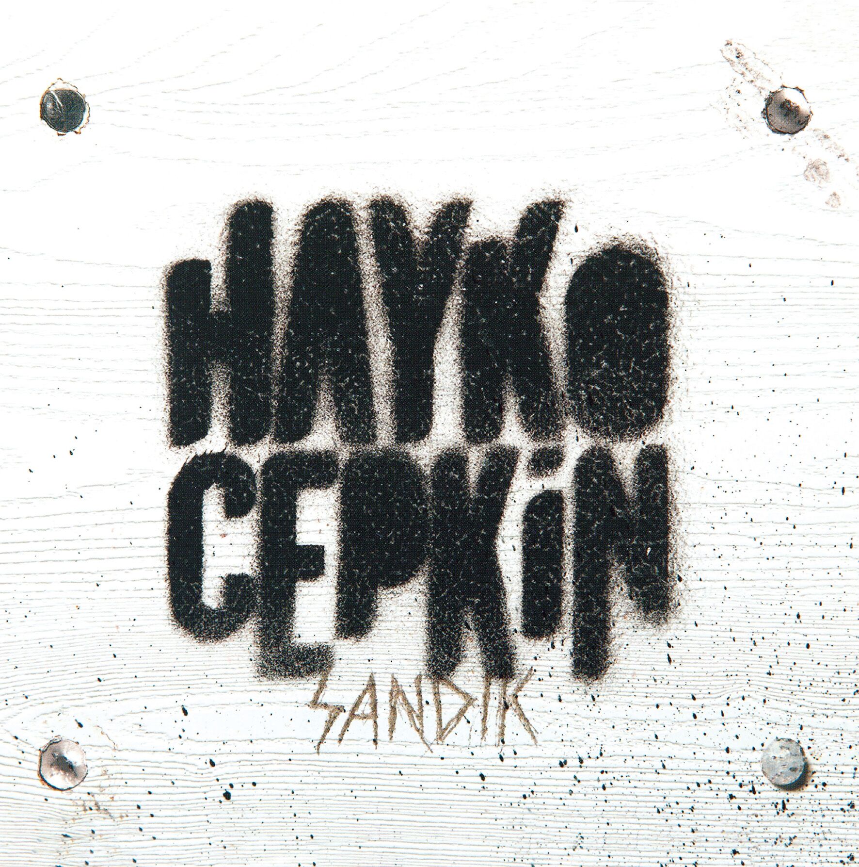 Hayko Cepkin Sandık LP Plak