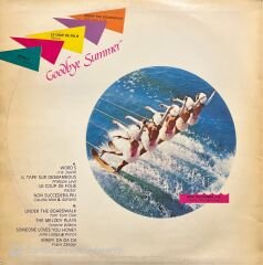 Blam Goodbye Summer LP Plak