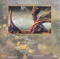 Yes Union LP Plak