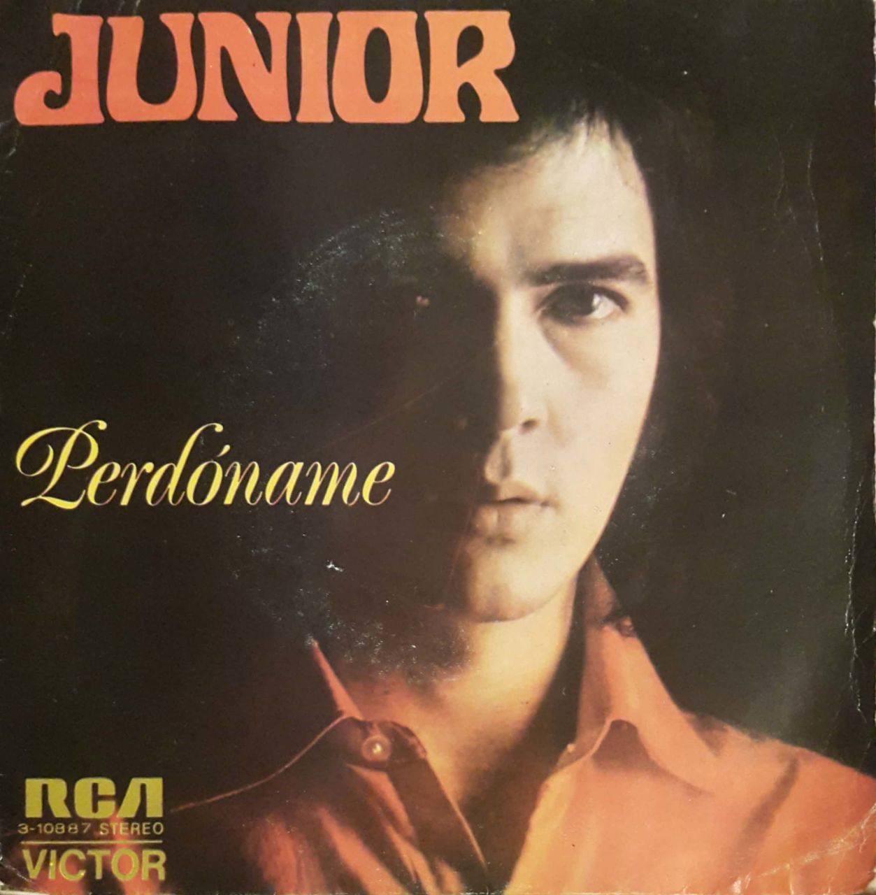 Junior Perdoname 45lik Plak