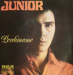 Junior Perdoname 45lik Plak