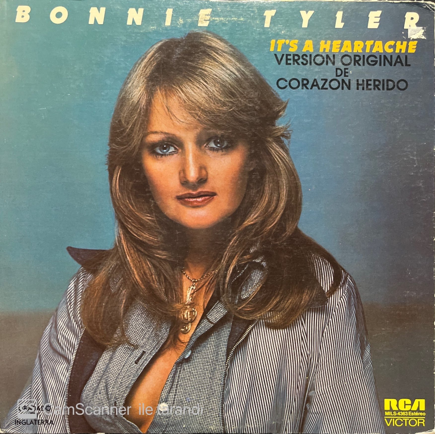 Bonnie Tyler It's A Hearthache LP Plak