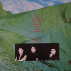 Kids In The Kitchen Terrain LP Plak