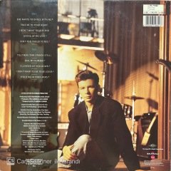 Rick Astley Hold Me In Your Arms LP Plak