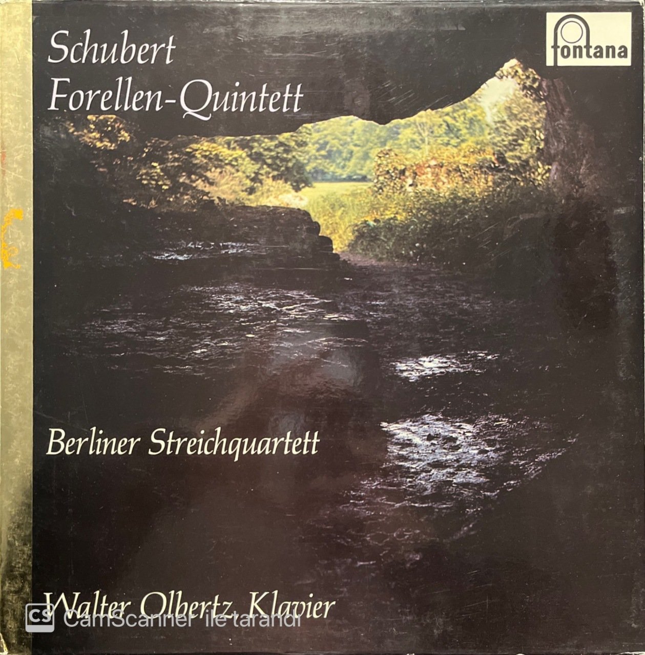 Schubert Forellen Quintett LP Klasik Plak