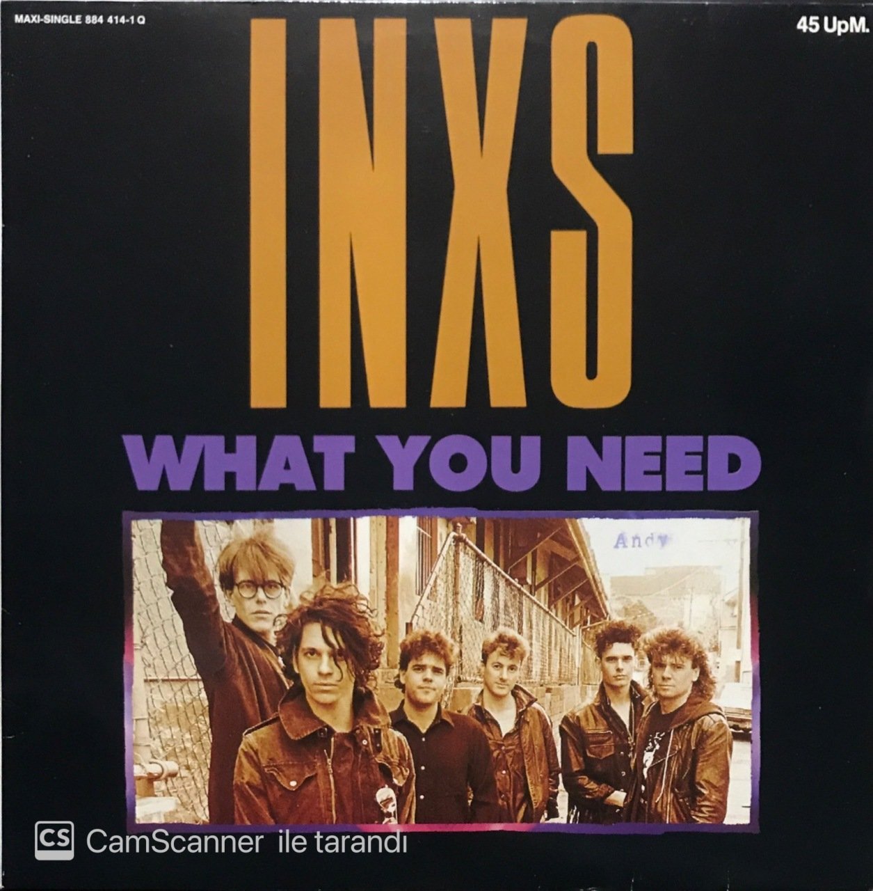 INXS What You Need Maxi Single LP Plak
