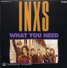 INXS What You Need Maxi Single LP Plak