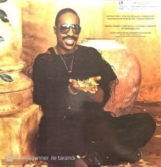 Stevie Wonder In Square Circle LP Plak
