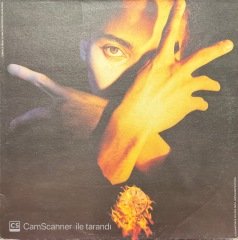 Terence Terent D'arby's Neither Finish Nor Flesh LP Plak