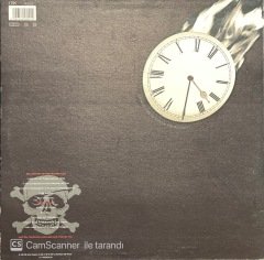 Terence Terent D'arby's Neither Finish Nor Flesh LP Plak
