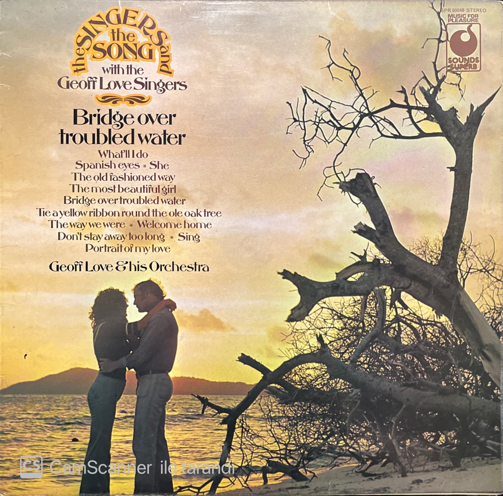 Bridge Over Troubled Water LP Plak